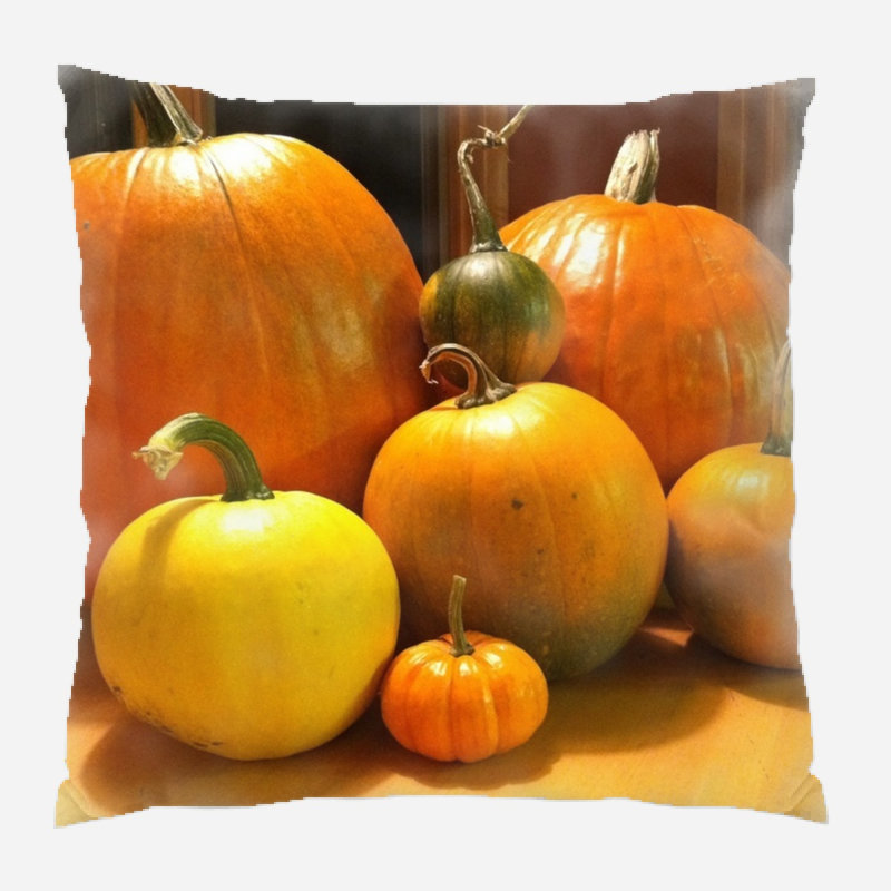  Coussin décoratif intérieur / extérieur Pumpkin