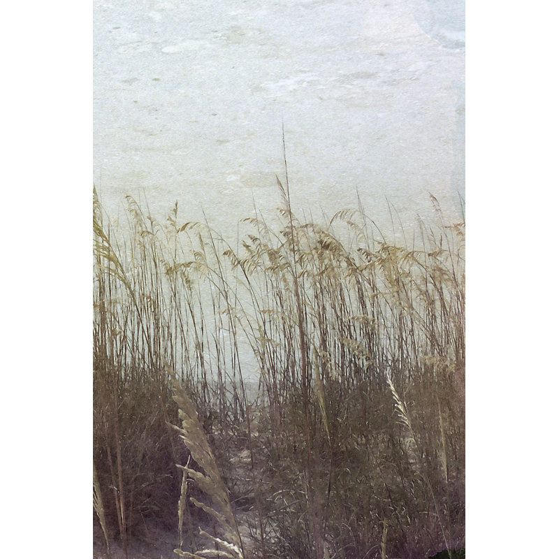 Through The Dunes II by Pam Ilosky - Wrapped Canvas Print, 46cm H x 30cm W