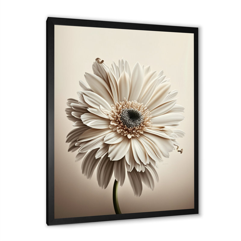 «White Gerbera Flowers V», reproduction sur toile, L 12 po x H 20 po, Impression noire sur toile encadrée