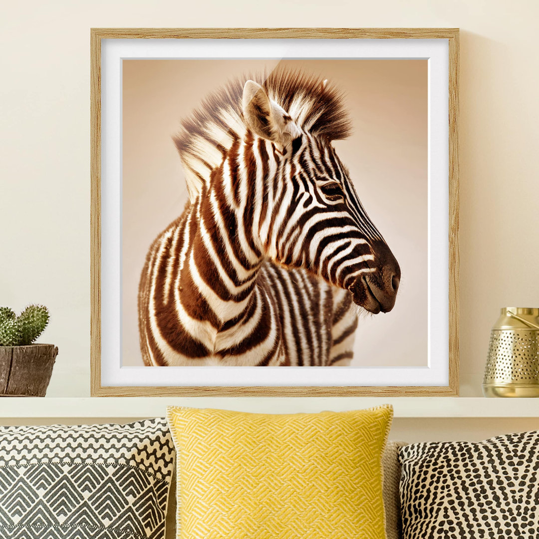 Gerahmtes Papierbild Zebra Baby Portrait