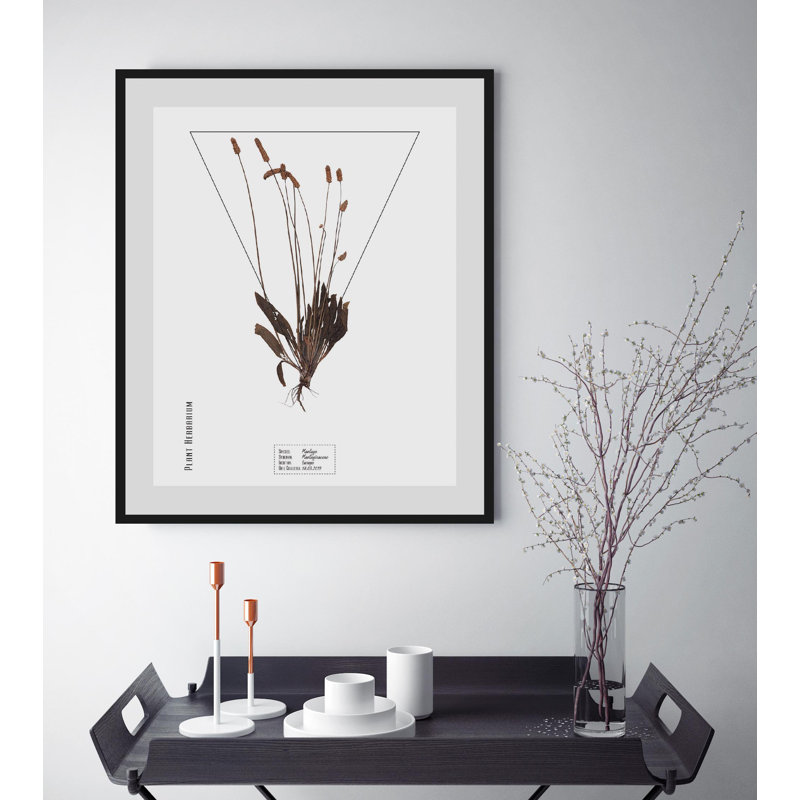 Plant - Single Picture Frame Print