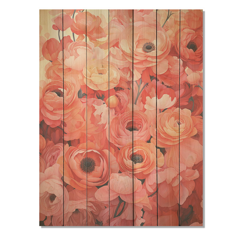 Coran Ranunculus Radiant Beauties - Renoncule sur bois, H 44 po x l 34 po