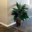 Customer photo 1 of 2