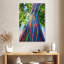 Eucalyptus hawaïen Harnek-108441416