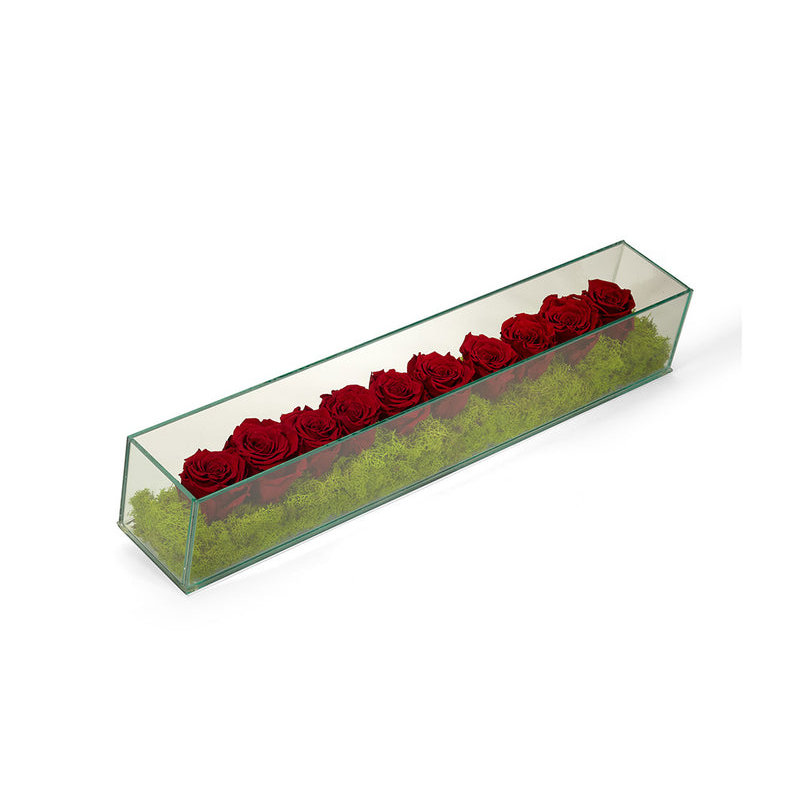 Preserved Roses in Rectangular Glass Box, Burgundy