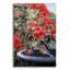 «Robins In A Birdbath» par Ron Parker, verre acrylique Wal Art-736528071