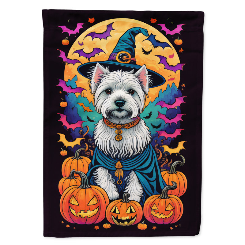 Jakameron Double Sided Polyester Halloween Garden Flag, 40" x 28"