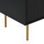 Ajasia 2 - Door Rectangle Accent Cabinet-891591232