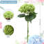 Arrangement-700540186