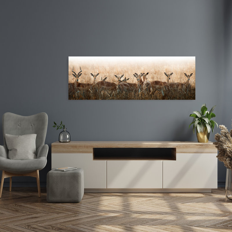 Watchful Impala Herd by Antonio Grambone - Wrapped Canvas Panoramic Print, 40.64 cm H x 121.92 cm W