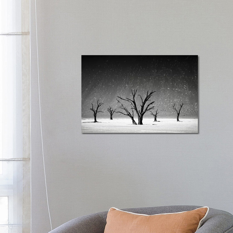 Staying Up - Wrapped Canvas Print, 45.72cm H x 66.04cm W x 1.905cm D
