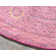 Nadene Washable Oriental Indoor Rug