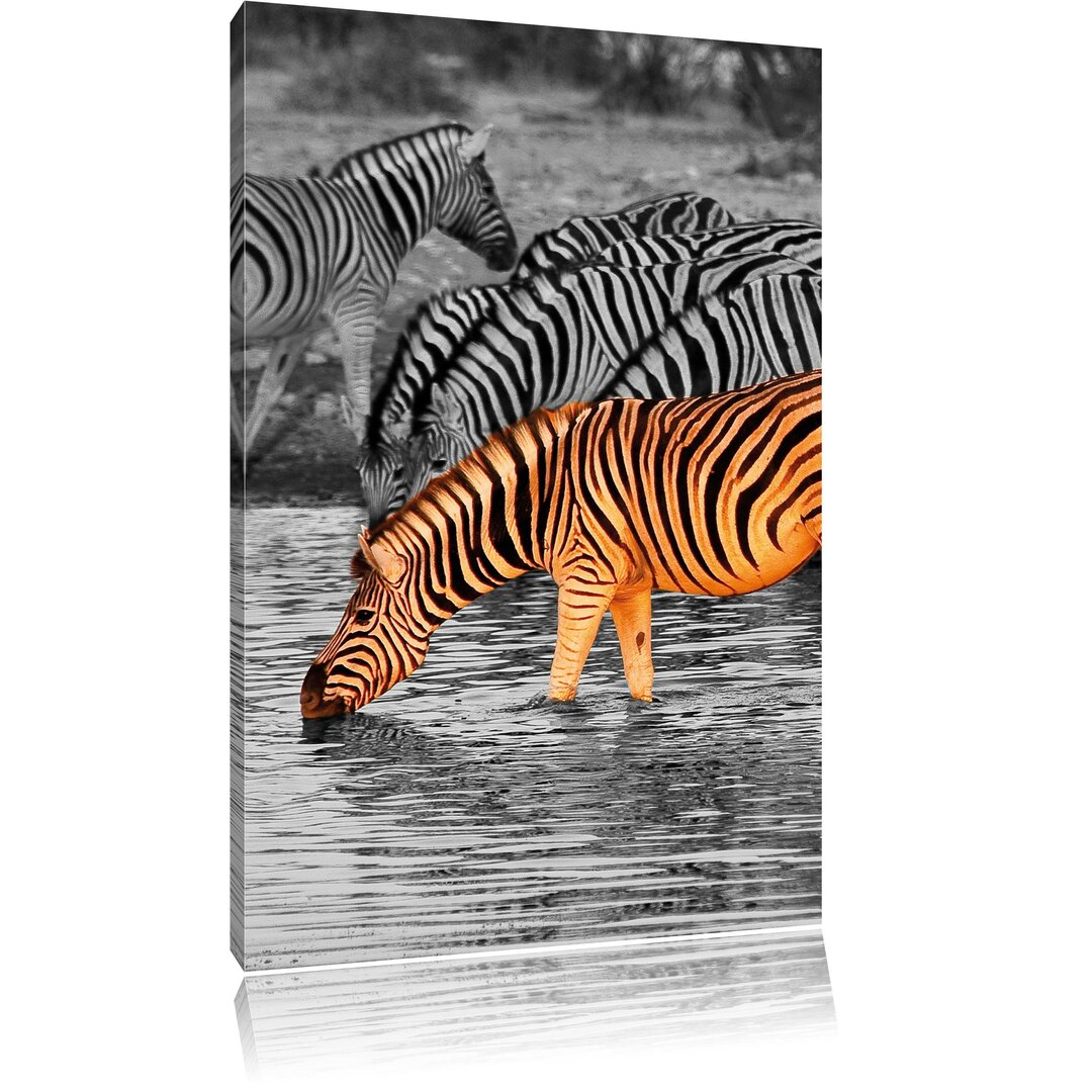 Leinwandbild Zebras an der Wasserstelle