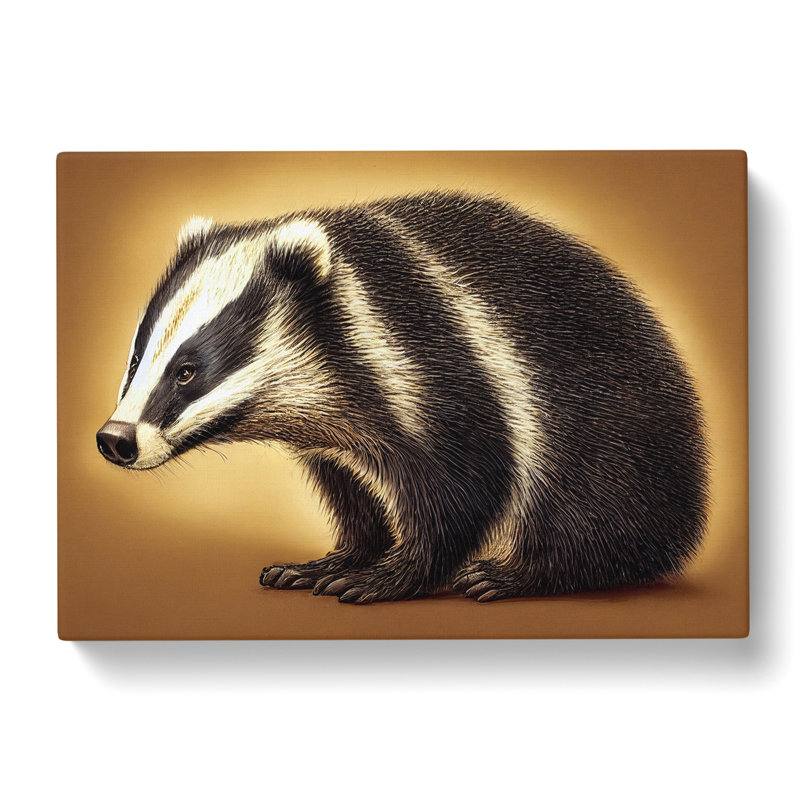 Face Of The Badger - Wrapped Canvas, 35cm H x 50cm W x 3cm D