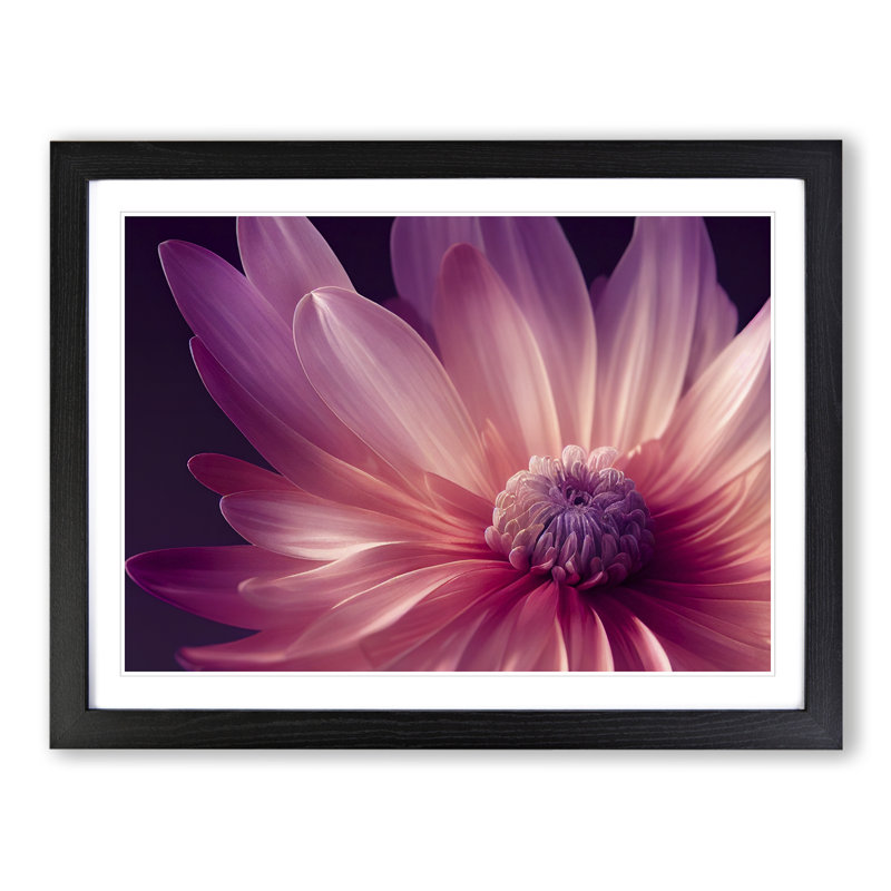 Cute Chrysanthemum Flower Vol.4 - Framed Print, 25cm H x 34cm W x 2cm D, Black