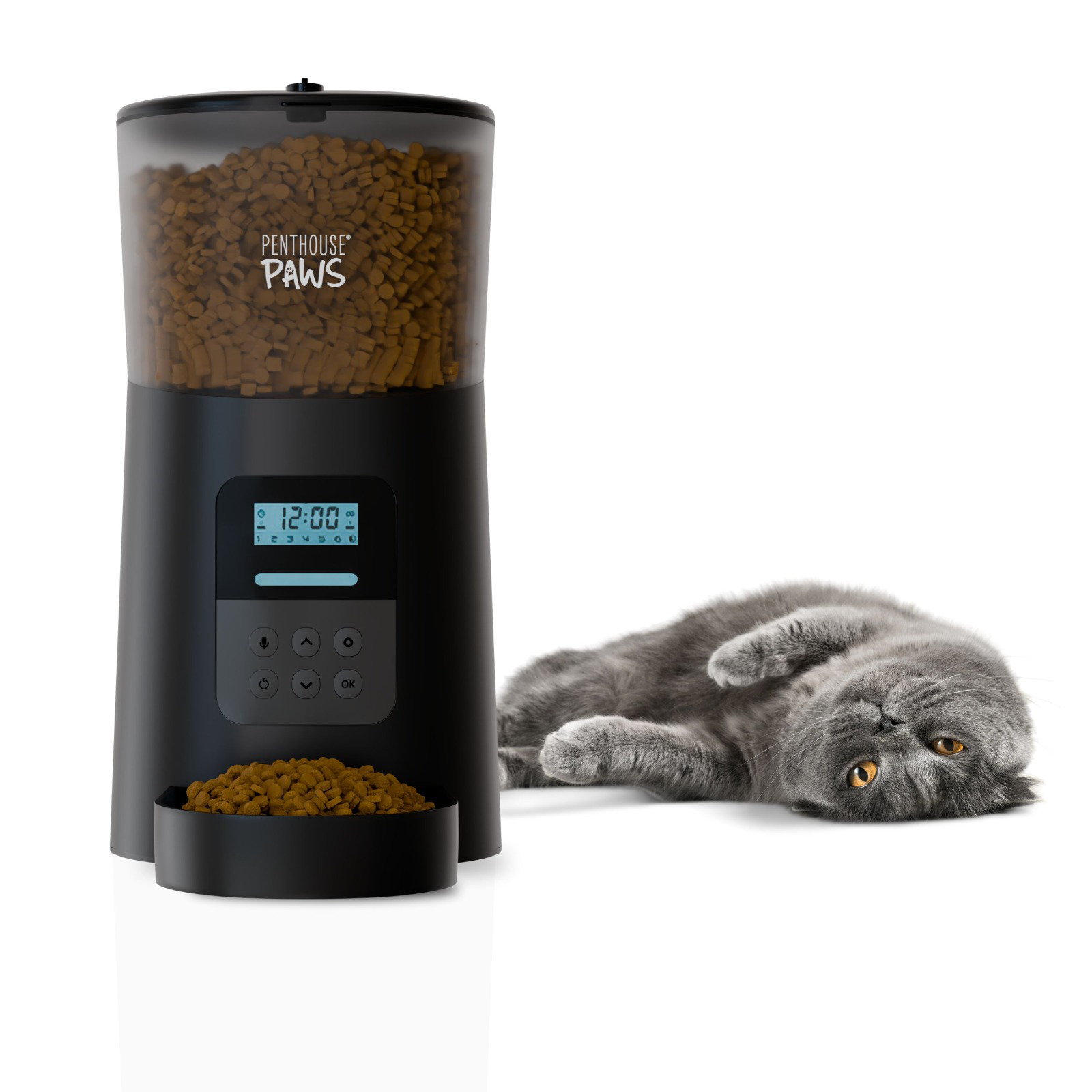 Peachtree Residences Atlanta | ALLATLANTACONDOS.COM