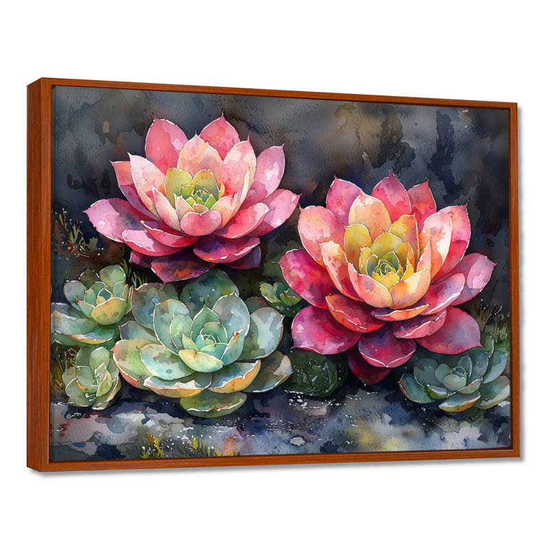 «Echeveria Elegans Succulent Mexico Bloomscape II» - art mural succulent, Brun, H 12 po x l 20 po