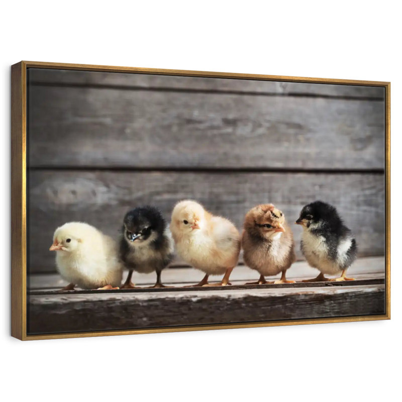 Rangée de poussins, Cadre flottant doré, 40 po x 27 po