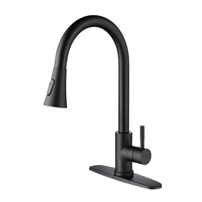 Kitchen Faucet With Pull Out Spraye