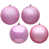 Rose est en rupture de stock
