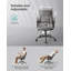 Saine Office Chair