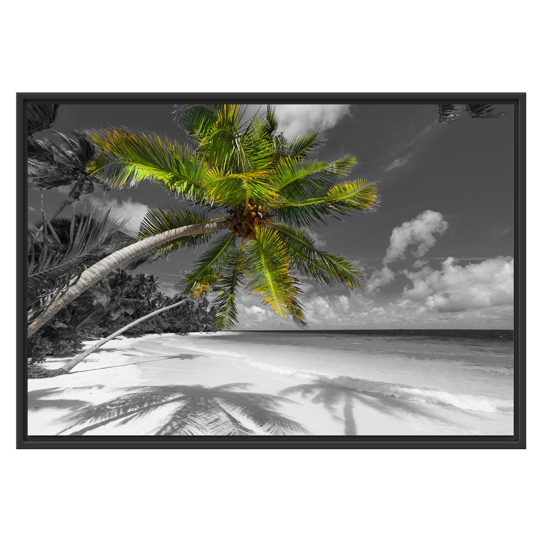 Gerahmtes Wandbild riesige Palme über Strand