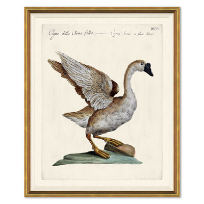 Odd Birds Giclee Print