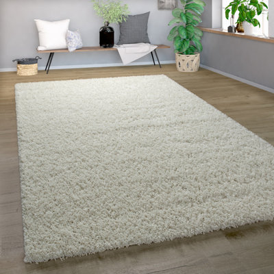 Epperson Solid Colour Shag Area Rug