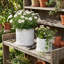 Handmade Ceramic Planter Set-1842653226
