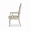 Ensemble de 2 chaises avec accoudoirs rembourrées Pelton