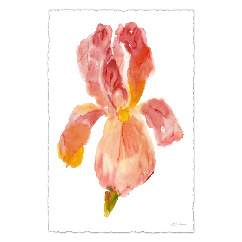 Sunset Blooms II by Tim OToole - Wrapped Canvas Painting, 46cm H x 30cm W x 3.8cm D
