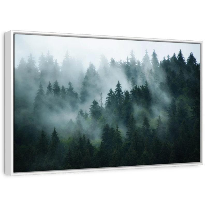Forêt de sapins brumeux Alvord, H 13 po x l 19 po