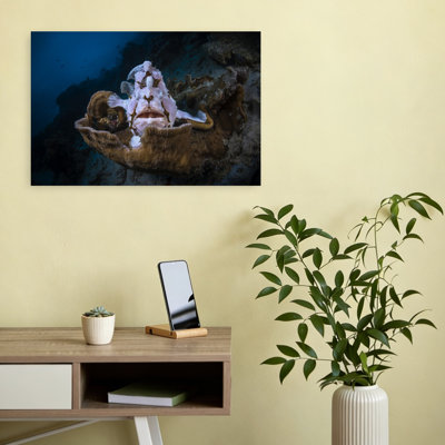 Ornate Frogfish Underwater Contemporary Fish Nature Ocean Wall Art Print