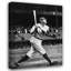 Babe Ruth - Le sultan de Swat-107116181