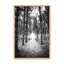 «Sunset Pines» par Donnie Quillen, reproduction d'art-486830044-486830047-486903844
