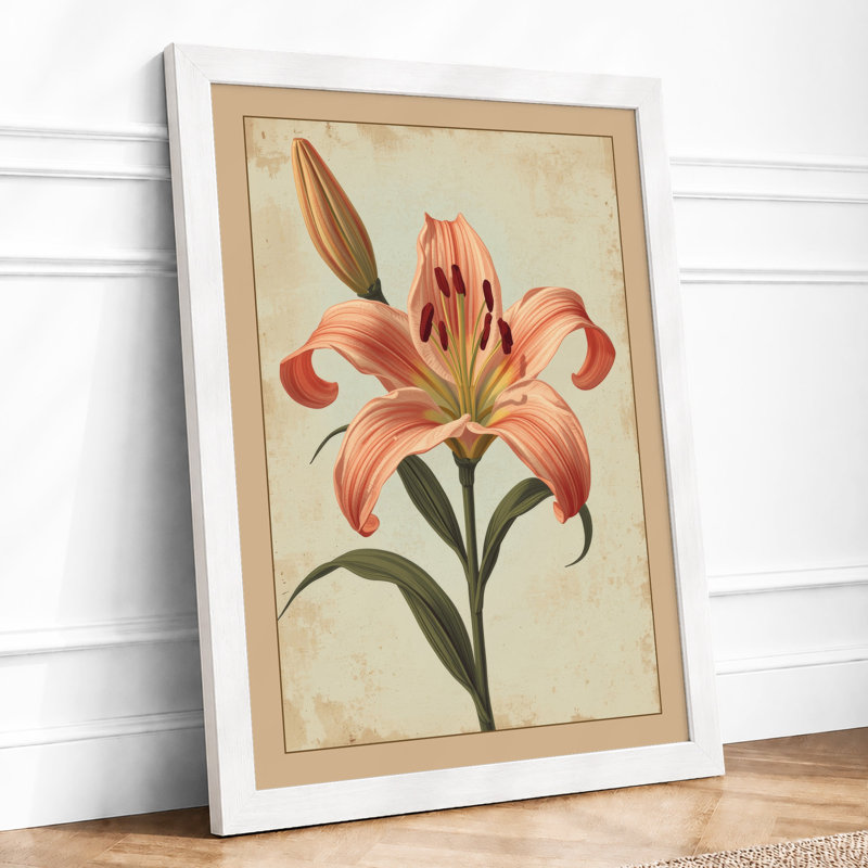 Coral Lily Study Botanical - Print, A4 - 29.7 x 21.0 cm, White