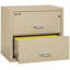 Fireproof 2 - Drawer File Cabinet-217202-331546