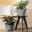 Eldwun 2 Piece Resin Pot Planter, Indoor/Outdoor Garden Flower Pots-801690091-801690089