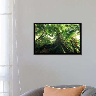 «Jungle King» par Stefan Hefele, reproduction de photo sur toile tendue