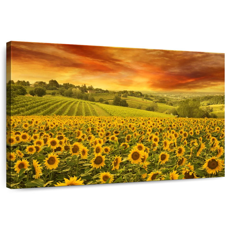 Tournesols Alvord Italian Hill