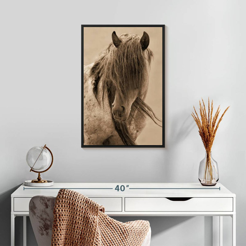 Cheval de la liberté, Cadre flottant noir, 17 po x 25 po