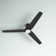 Ameeyah 52'' Ceiling Fan with LED Lights