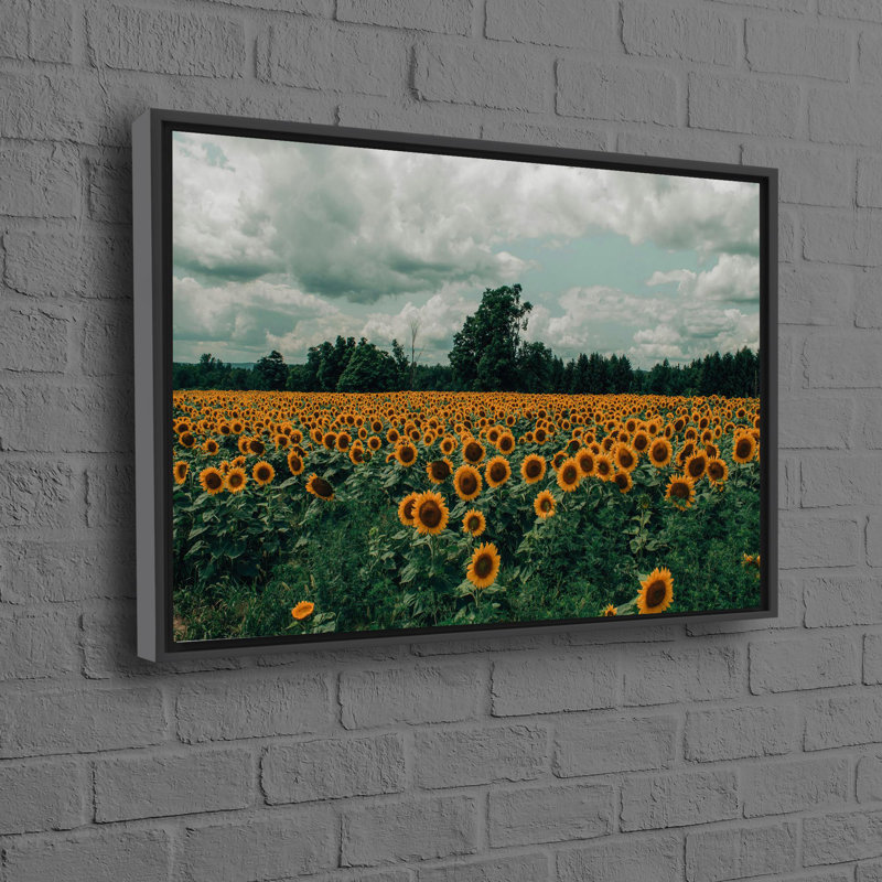 Print on Canvas, 25 cm H x 35 cm W, Black Floater Framed