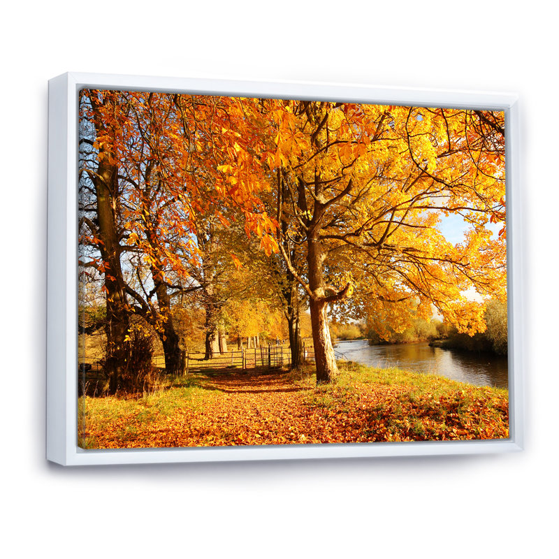 «Yellow Autumn Artistic Forest By The Lake», reproduction sur toile, H 8 po x l 12 po x P 1 po, Cadre flottant blanc