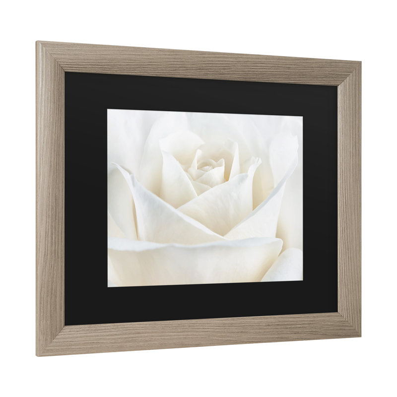 «Pure White Rose», reproduction de photo encadrée, H 11 po x l 14 po x P 0,5 po, Cadre noir, Noir