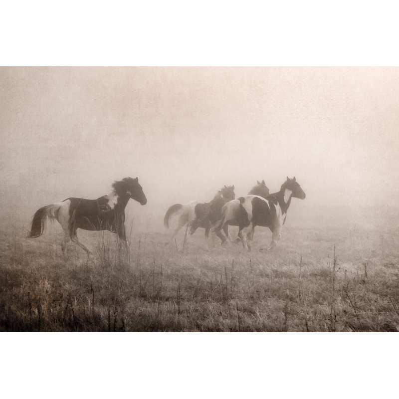Paint Horses On The Run by Debra Van Swearingen - Wrapped Canvas Print, 51cm H x 76cm W