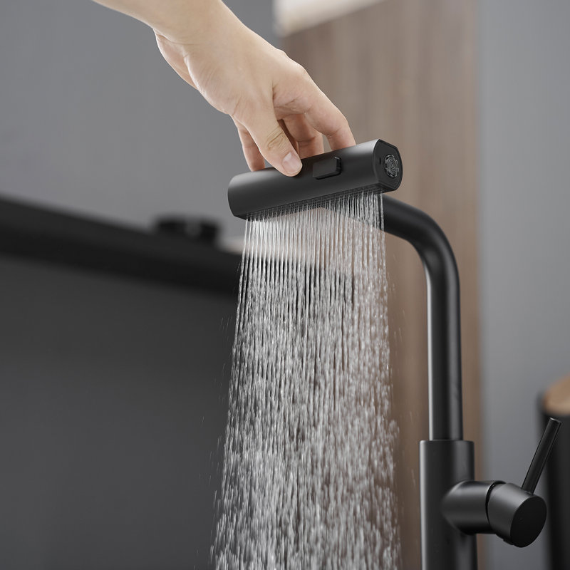 Single Handle Basin Sink Pull Out Kitchen Faucet With 360° Rotating Spout, Matte Black