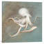Reproduction d’art sur toile tendue, "trésors from the sea v"-22683355-90801220