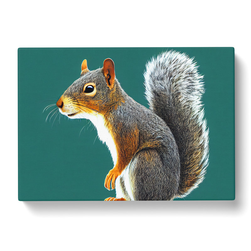 A Tantalising Squirrel - Wrapped Canvas, 50cm H x 76cm W x 3cm D