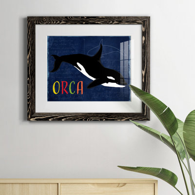 " Orca "